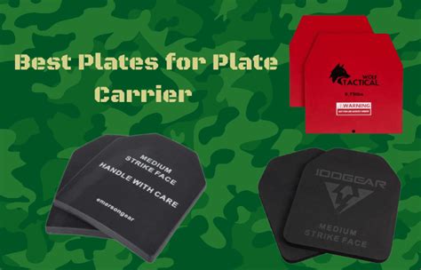 ceramic plate carrier reviews